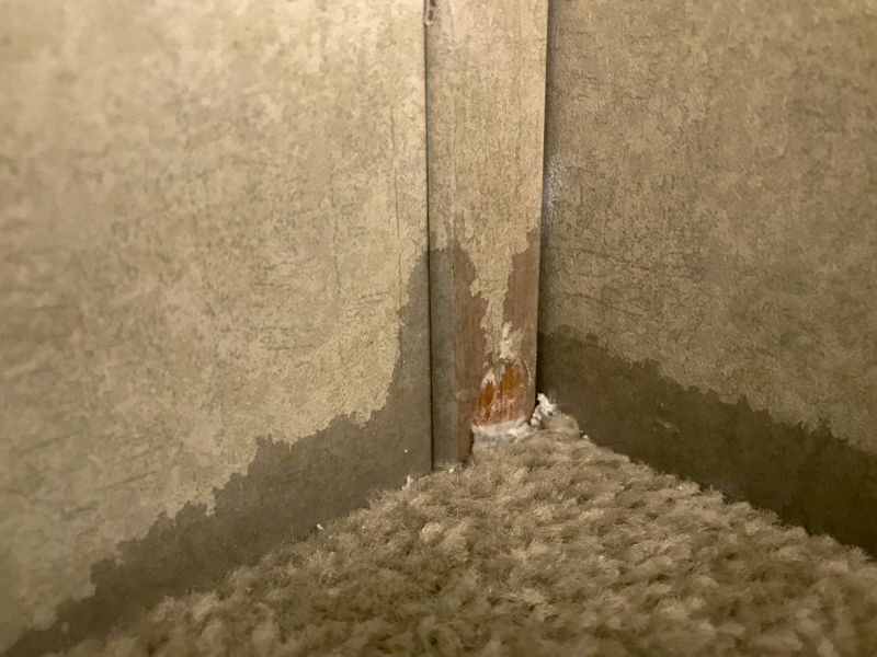 Basement Carpet Repair in Overland Park, KS