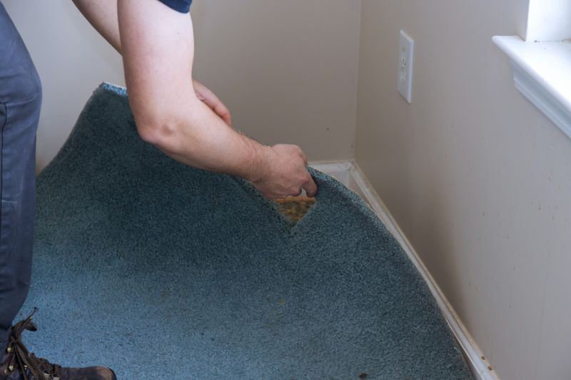 Basement Carpet Stretching in Littleton, CO