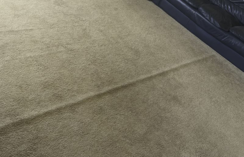 Carpet Patching in Olathe, KS