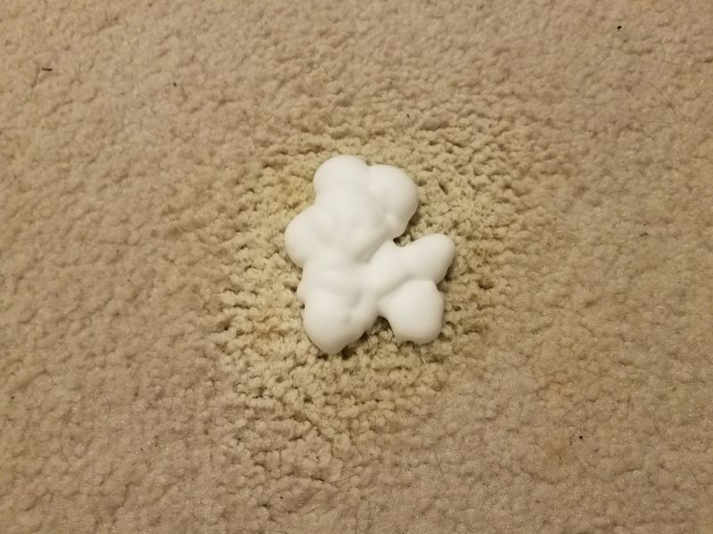 Pet Stain Carpet Repair in Kansas City, KS