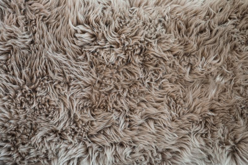 Shag Carpet Installation in Toms River, NJ
